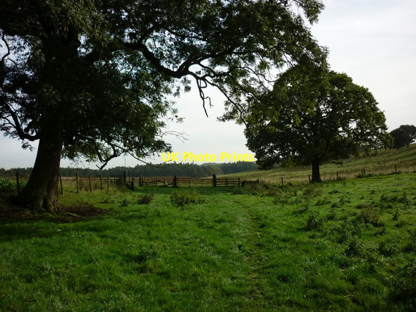 Photo 6"x4" Turn left here for the Dales Way Alwoodley Park c2010