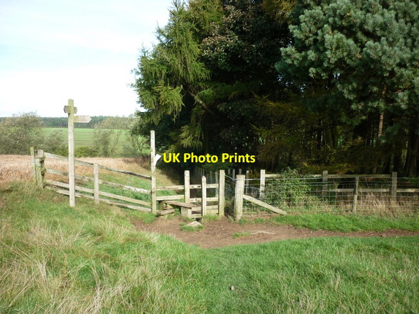 Photo 6"x4" The Dales Way goes over the stile and ahead Eccup c2010
