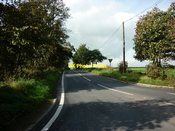Photo 6"x4" Looking down Kings Road Eccup c2010
