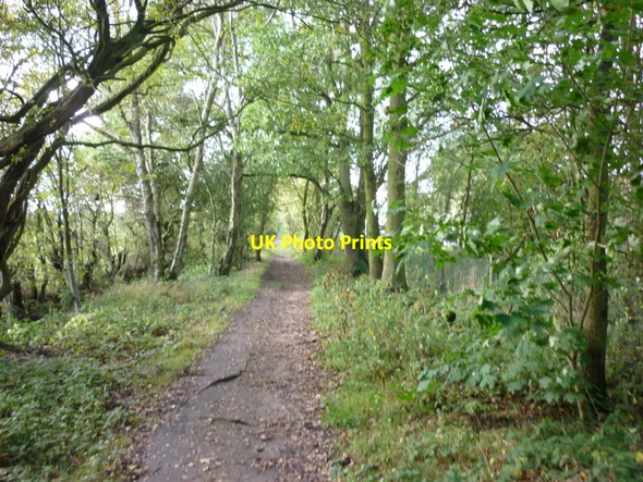 Photo 6"x4" Heading towards the A660 Otley Road Eccup c2010