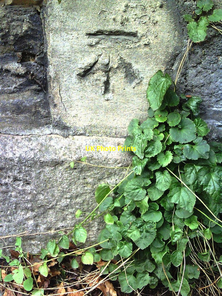 Photo 6"x4" Benchmark on wall of #44A Spring Road Abingdon c2010