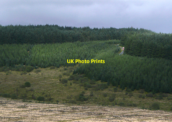 Photo 6"x4" The Tywi Forest on Esgair Gerwyn, Ceredigion Esgair Gerwyn c2010