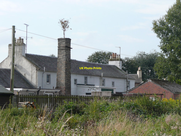 Photo 6"x4" Tree on a chimney, Crosshill Crosshill\/NS3206 c2010