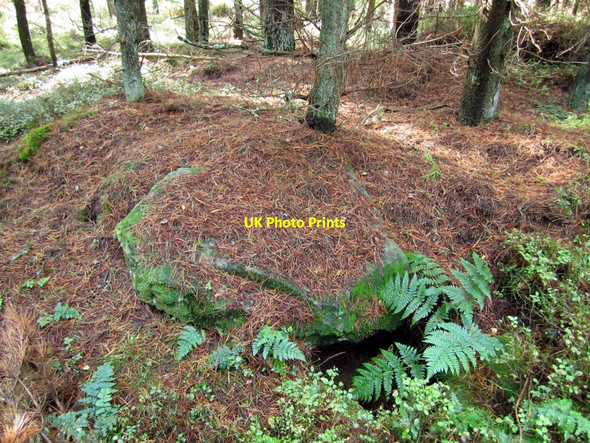 Photo 6"x4" Bronze Age Cairn and Cist, Beanley Plantation Beanley c2010