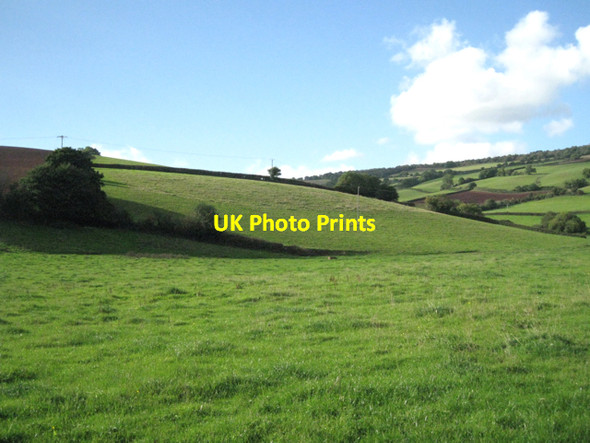 Photo 6"x4" Hillside west of upper Broadmeadow Teignmouth c2010