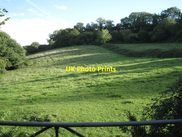 Photo 6"x4" Hillside above Coombe Way Ash Hill\/SX9173 c2010