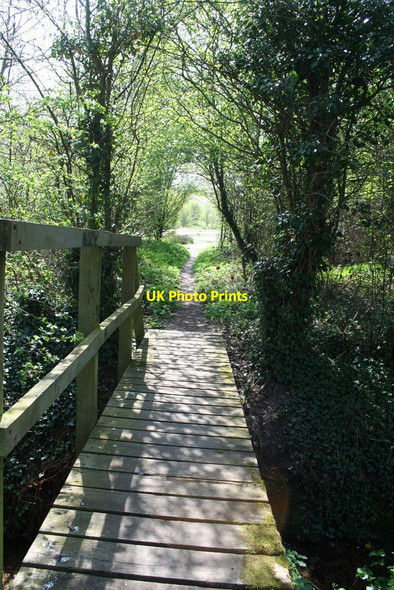 Photo 6"x4" Roding Valley Chigwell c2010