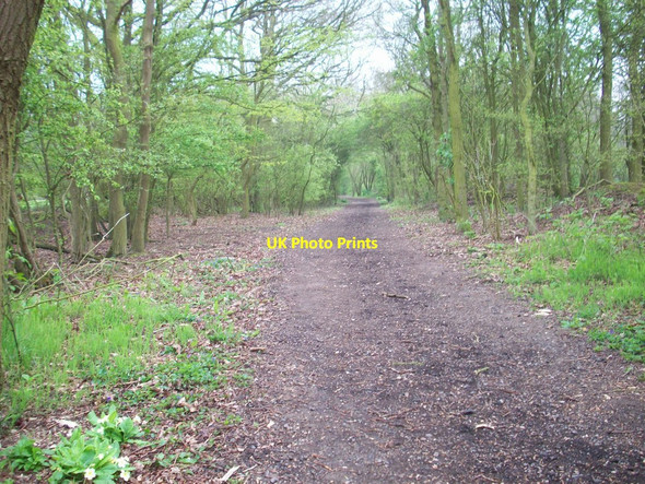 Photo 6"x4" Stow Maries Walk Stow Maries c2010