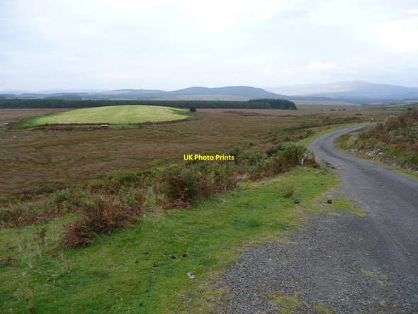Photo 6"x4" Lane, moor and improved pasture Knowe\/NX3171 c2010