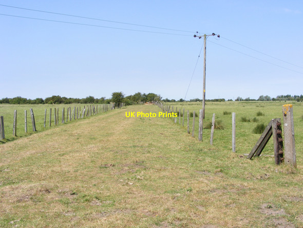 Photo 6"x4" Haddiscoe Marshes near Haddiscoe station St Olaves c2010