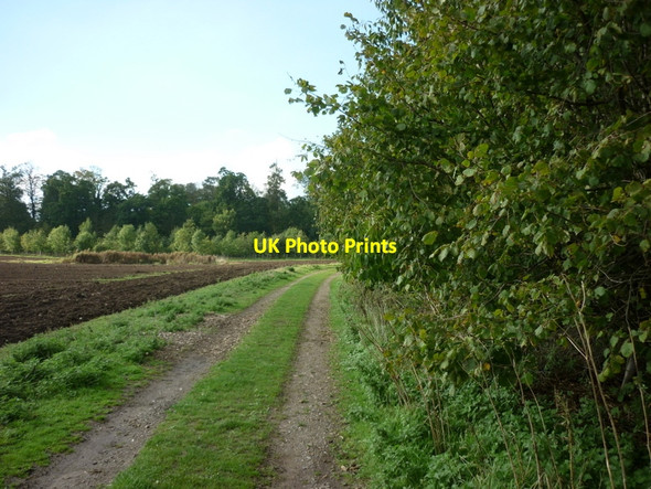 Photo 6"x4" Walking towards Wassand Hall Seaton\/TA1646 c2010