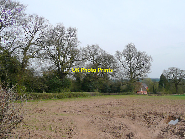 Photo 6"x4" Muddy field north of Enville, Staffordshire Blundies c2010