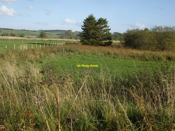 Photo 6"x4" Marshy ground with drainage near Mill Farm Lumphanan c2010