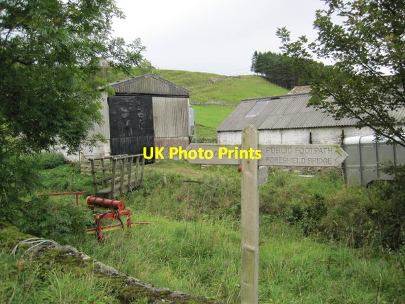 Photo 6"x4" Footbridge across Foreshield Burn Galligill c2010