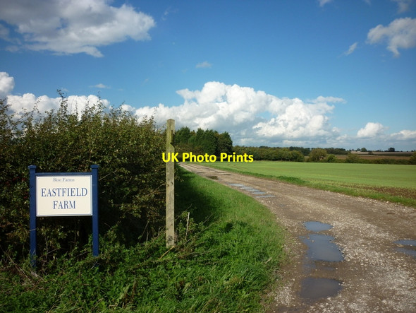 Photo 6"x4" The track to Eastfield Farm, Mill Lane Rise\/TA1542 c2010