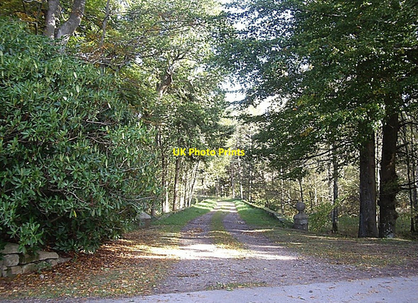 Photo 6"x4" Track across the bridge over the Tarland Burn Aboyne c2010