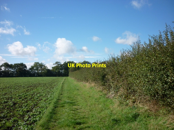 Photo 6"x4" Walking towards Weatherhill Plantation Seaton\/TA1646 c2010