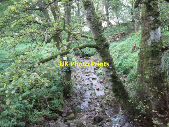 Photo 6"x4" Galligill Burn at Low Galligill Galligill c2010