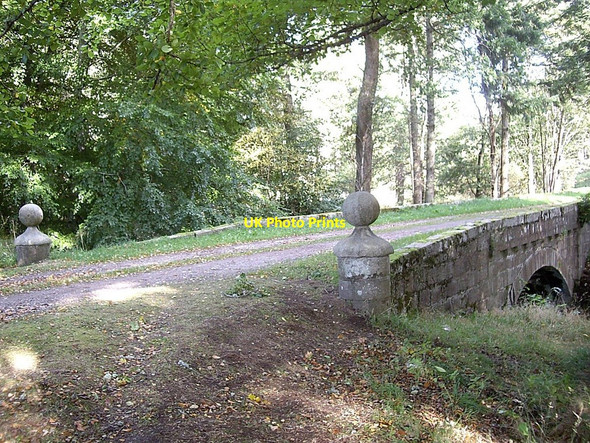 Photo 6"x4" Bridge over the Tarland Burn Aboyne c2010