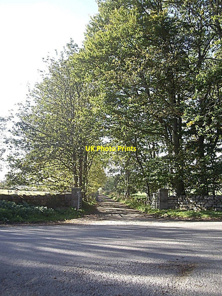 Photo 6"x4" View across the Tarland road Aboyne c2010