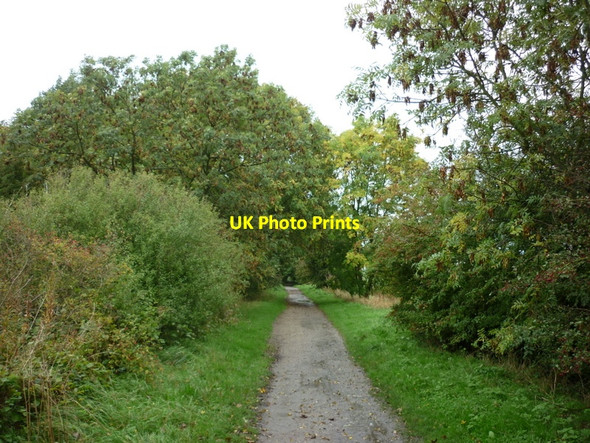 Photo 6"x4" Hornsea Rail Trail towards Ellerby New Ellerby c2010