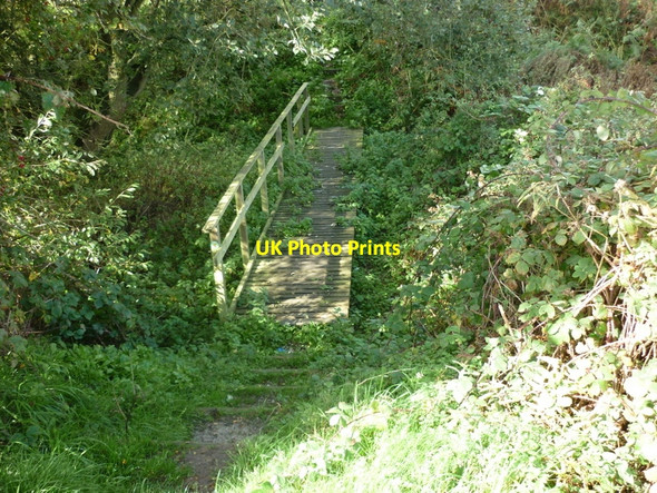 Photo 6"x4" A footpath crosses the rail trail Goxhill\/TA1844 c2010