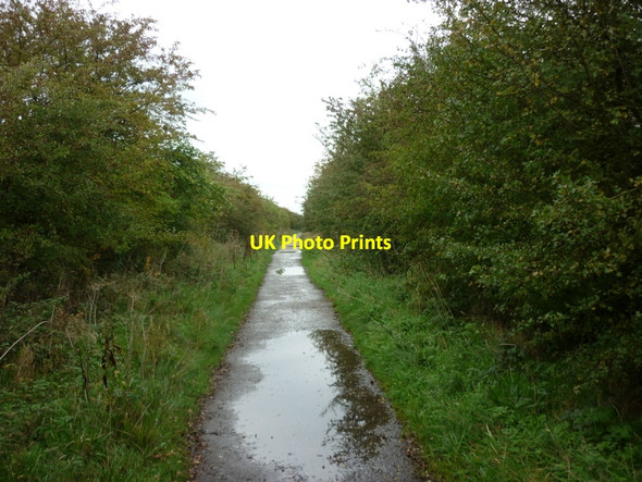 Photo 6"x4" Walking North along the Hornsea Rail Trail Great Hatfield c2010