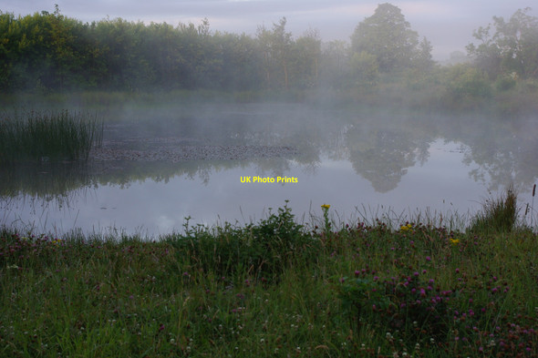 Photo 6"x4" Fog on the pond Woolsington c2010
