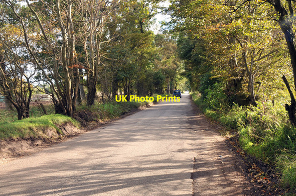 Photo 6"x4" Road from Elgin to Troves Elgin c2010