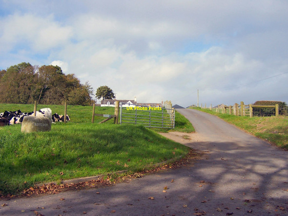 Photo 6"x4" Kirkeoch Farm Kirkcudbright c2010