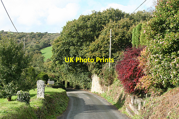 Photo 6"x4" Tywardreath: lane to Ponts Mill Tywardreath Highway c2010
