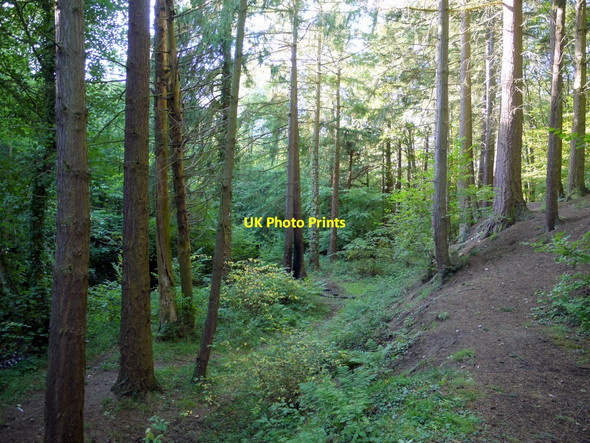 Photo 6"x4" South end of Whittle Dene Prudhoe c2010