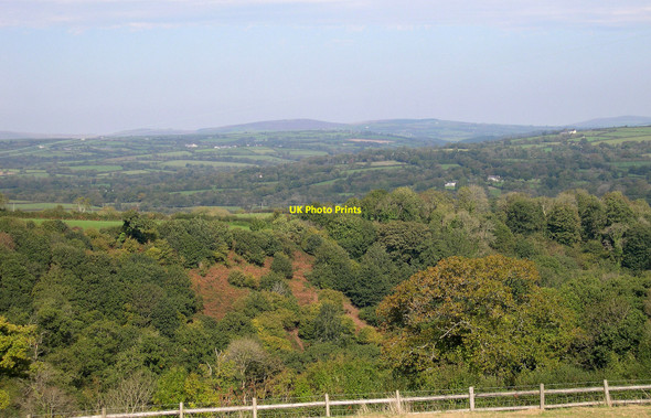 Photo 6"x4" Tir-bach Wood Llanddewi Velfrey c2010