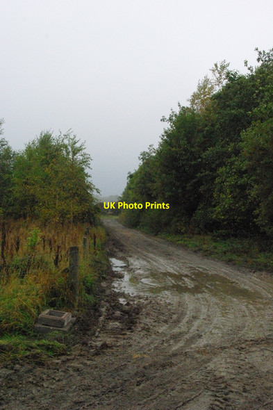 Photo 6"x4" Muddy track Woolsington c2010