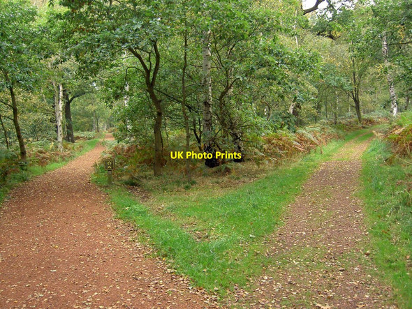 Photo 6"x4" Which way? Budby c2010