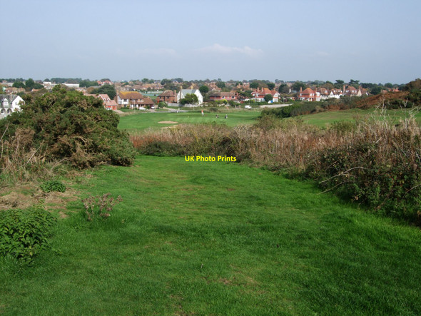 Photo 6"x4" Shrubbery near Seaford Head Golf Course Seaford c2010