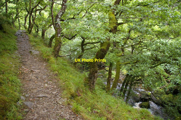 Photo 6"x4" East Lyn River: valley upstream of Watersmeet Countisbury c2010