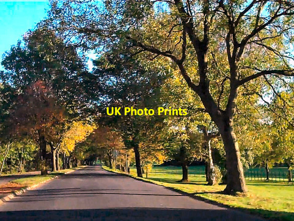 Photo 6"x4" Towneley Park, Burnley Burnley c2010