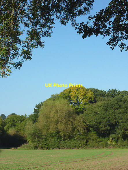 Photo 6"x4" Crop field and woodland near Great Moor, Staffordshire Great Moor\/SO8398 c2010