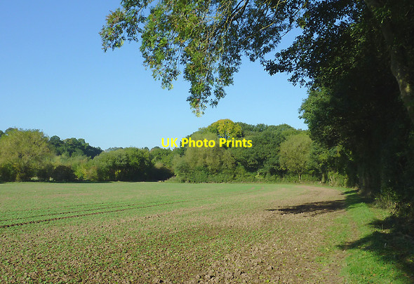 Photo 6"x4" Crop field and woodland near Great Moor, Staffordshire Great Moor\/SO8398 c2010 P1