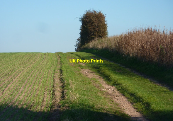 Photo 6"x4" Footpath to Sutton Barnby Moor c2010