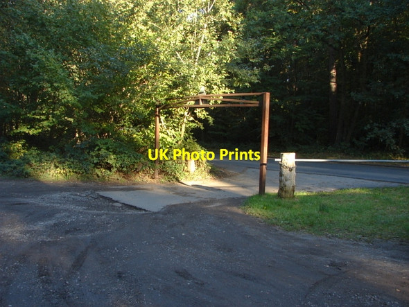 Photo 6"x4" Esher Common Fairmile\/TQ1261 c2010