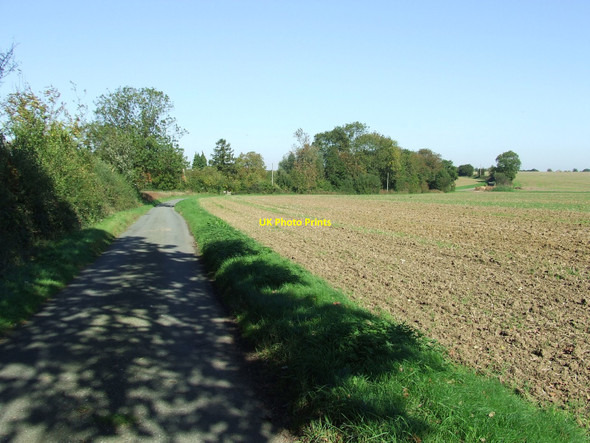 Photo 6"x4" Folly Lane Melon Green c2010 P1