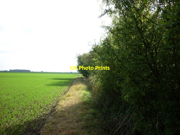 Photo 6"x4" A path heading South near Providence Farm Broomfleet c2010