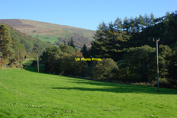 Photo 6"x4" Field by the Afon Twrch Talardd\/SH8926 c2010