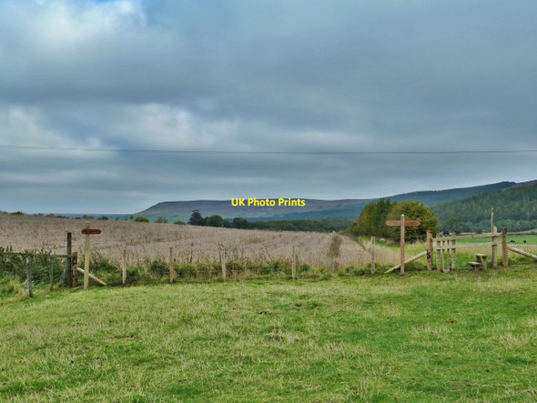 Photo 6"x4" Footpath Signs, near Ingleby Manor Ingleby Greenhow c2010