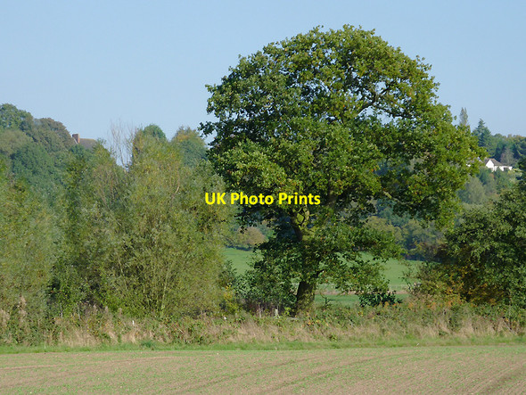 Photo 6"x4" Farmland near Great Moor, Staffordshire Great Moor\/SO8398 c2010