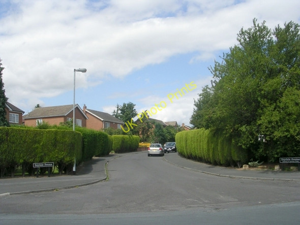 Photo 6"x4" Snydale Avenue - The Fairway Normanton\/SE3822 c2009