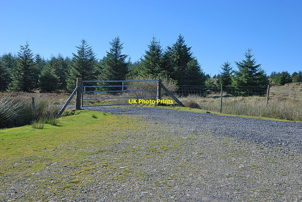 Photo 6"x4" Forestry entrance Moel y Feidiog c2010