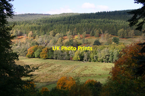 Photo 6"x4" Rough pasture alongside Abhainn Deabhag Tomich\/NH3027 c2010